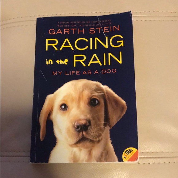 Other - Racing in the Rain book . By Garth Stein